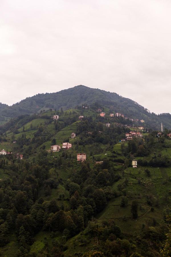 Kayi Pansiyon Ardesen Exterior photo